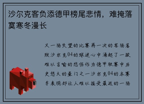 沙尔克客负添德甲榜尾悲情，难掩落寞寒冬漫长